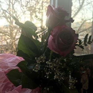 Meet your Posher, Jules